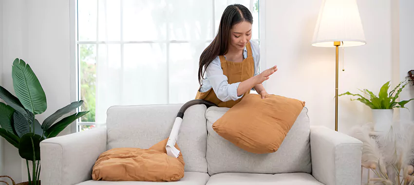 Daily cleaning services in UAE