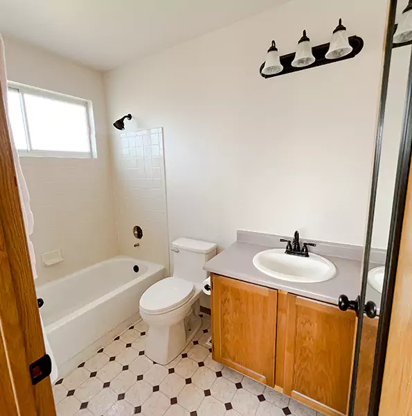 Why Property Owners Choose Us For Partial Bathroom Overhaul In Dallas, TX?