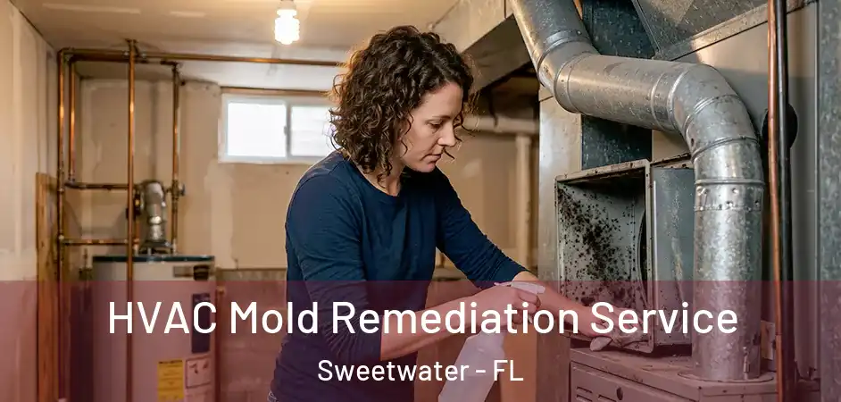 HVAC Mold Remediation Service Sweetwater - FL