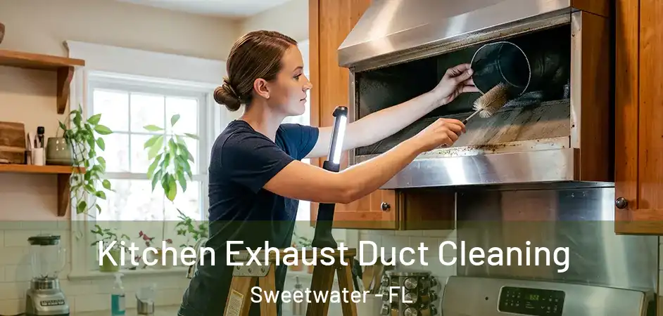Kitchen Exhaust Duct Cleaning Sweetwater - FL