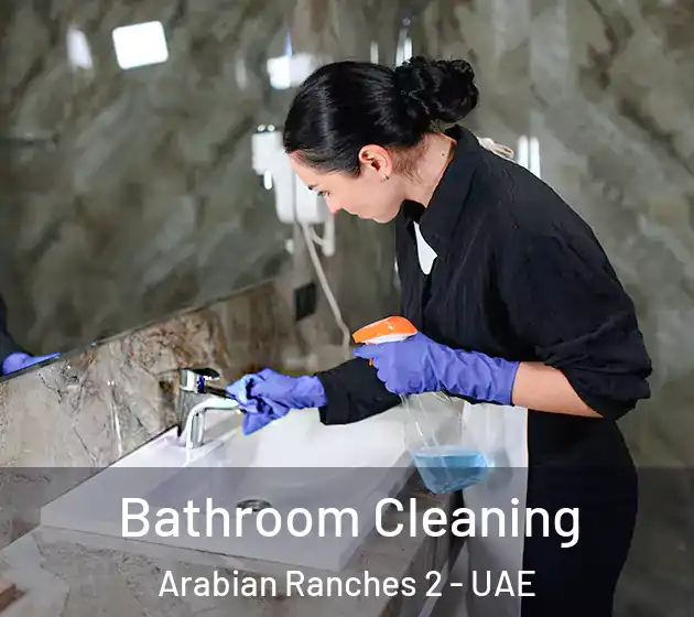 Bathroom Cleaning Arabian Ranches 2 - UAE