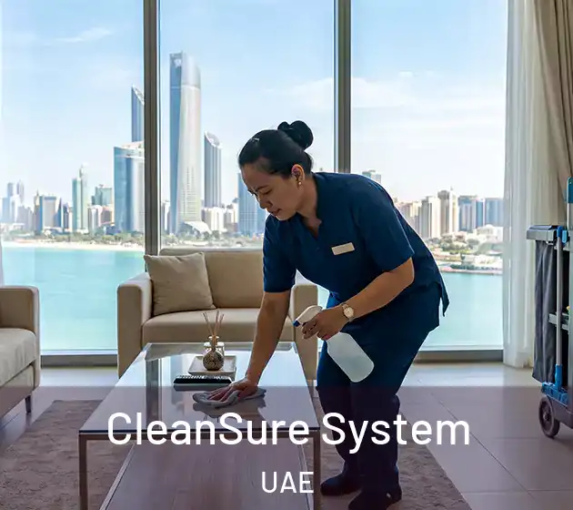  CleanSure System UAE