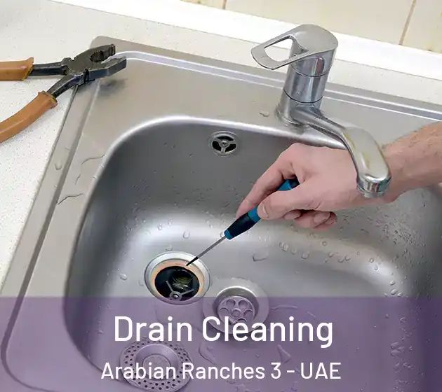 Drain Cleaning Arabian Ranches 3 - UAE
