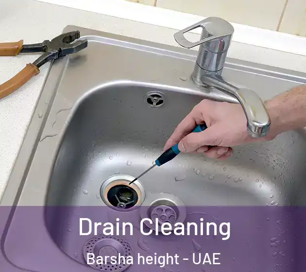 Drain Cleaning Barsha height - UAE