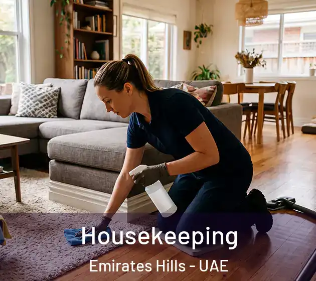 Housekeeping Emirates Hills - UAE