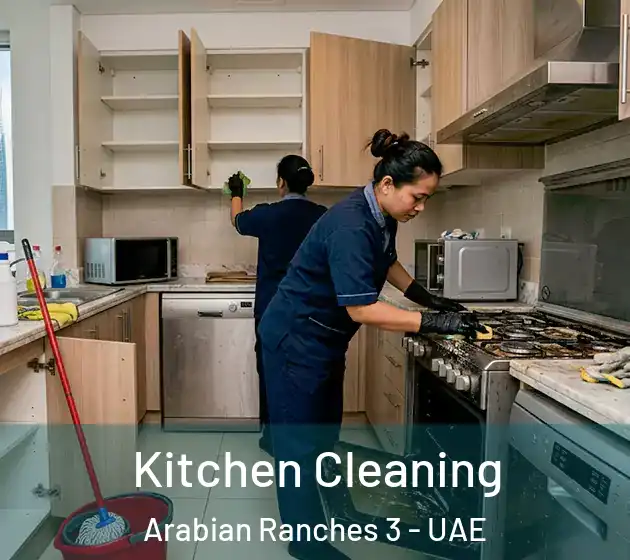 Kitchen Cleaning Arabian Ranches 3 - UAE