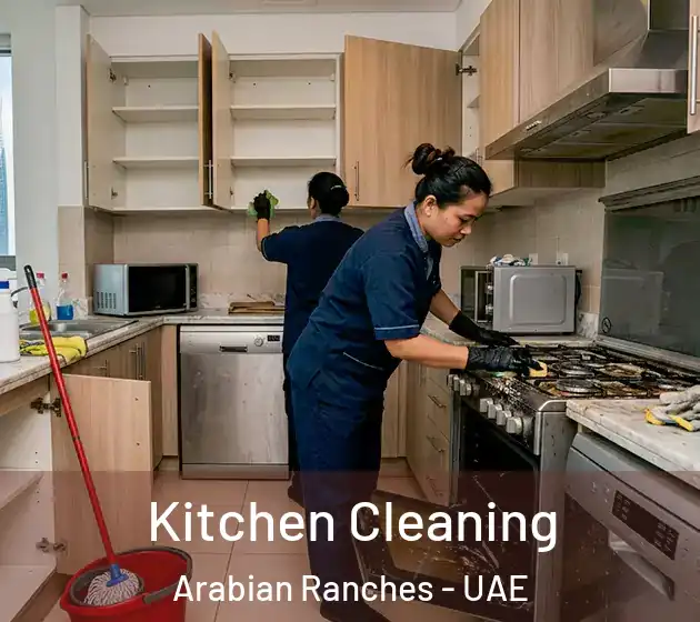Kitchen Cleaning Arabian Ranches - UAE