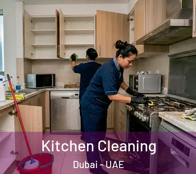  Kitchen Cleaning Dubai - UAE