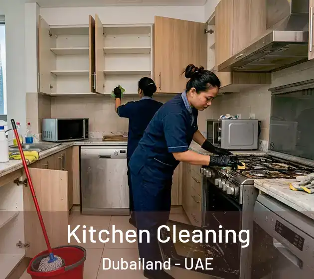 Kitchen Cleaning Dubailand - UAE