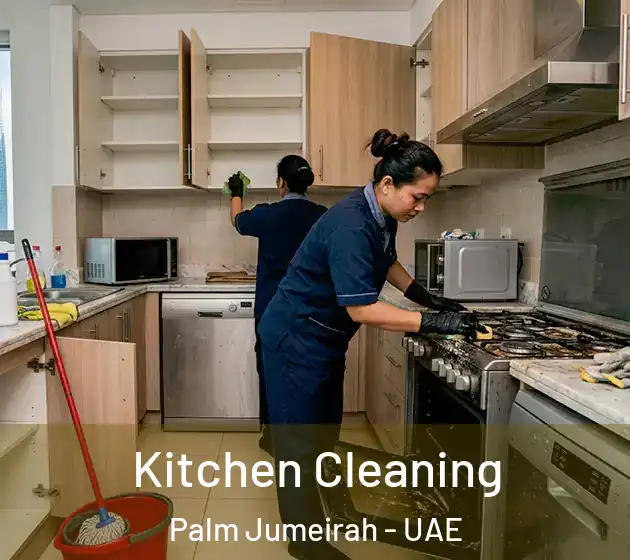 Kitchen Cleaning Palm Jumeirah - UAE