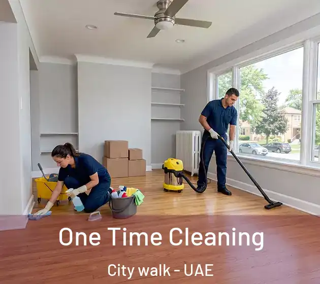  One Time Cleaning City walk - UAE