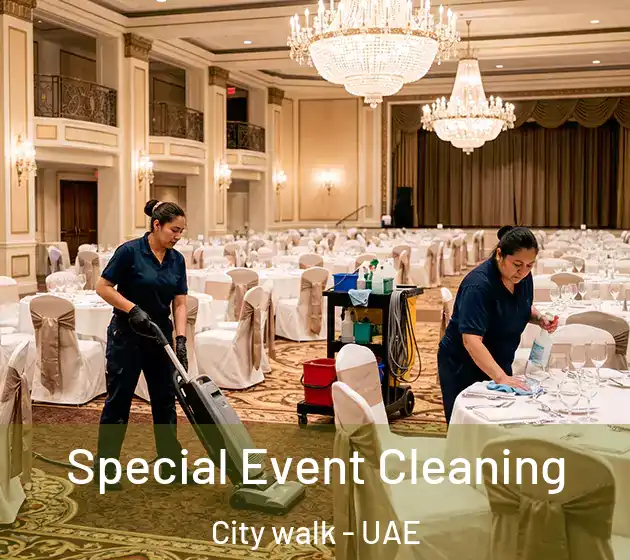 Special Event Cleaning City walk - UAE